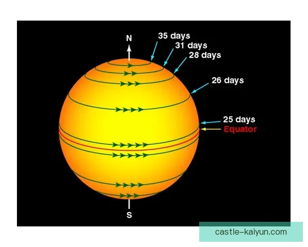 法比尼奥职业轨迹回顾及其在球队中的重要作用分析