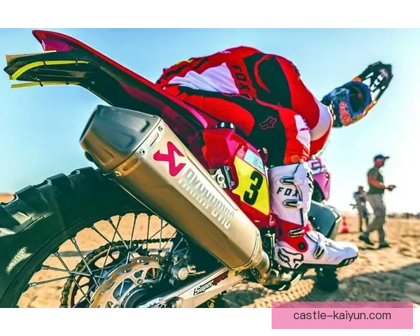 桑德兰青年队荣获2023年青年赛事冠军，表现引人注目