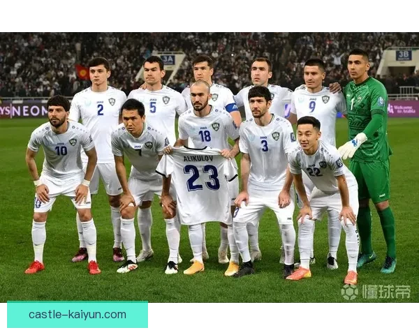 斯洛伐克2010世界杯表现回顾：首次参赛晋级十六强